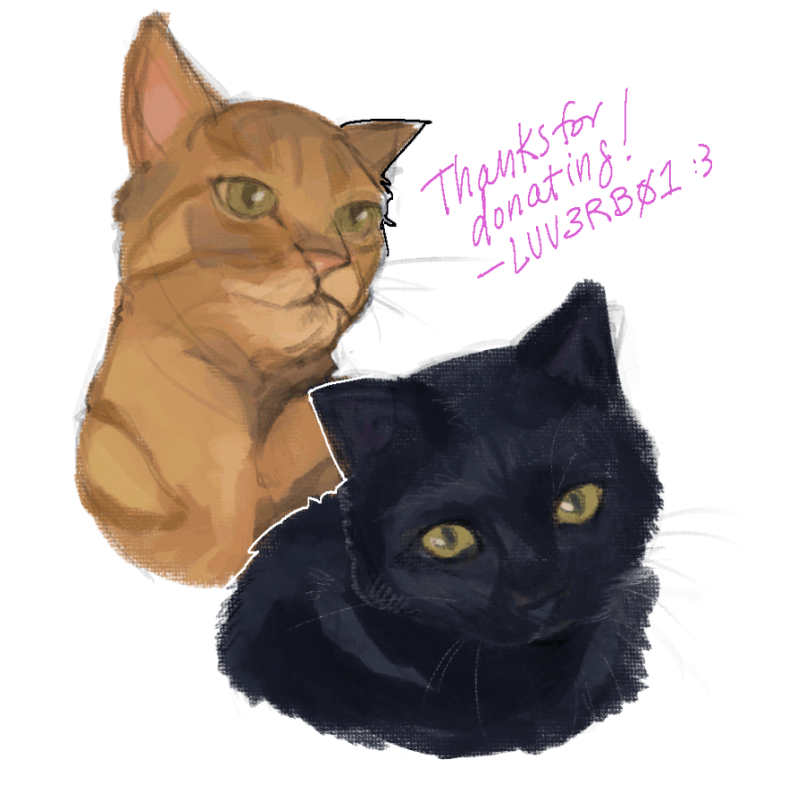 colored sketches of client's pet cats