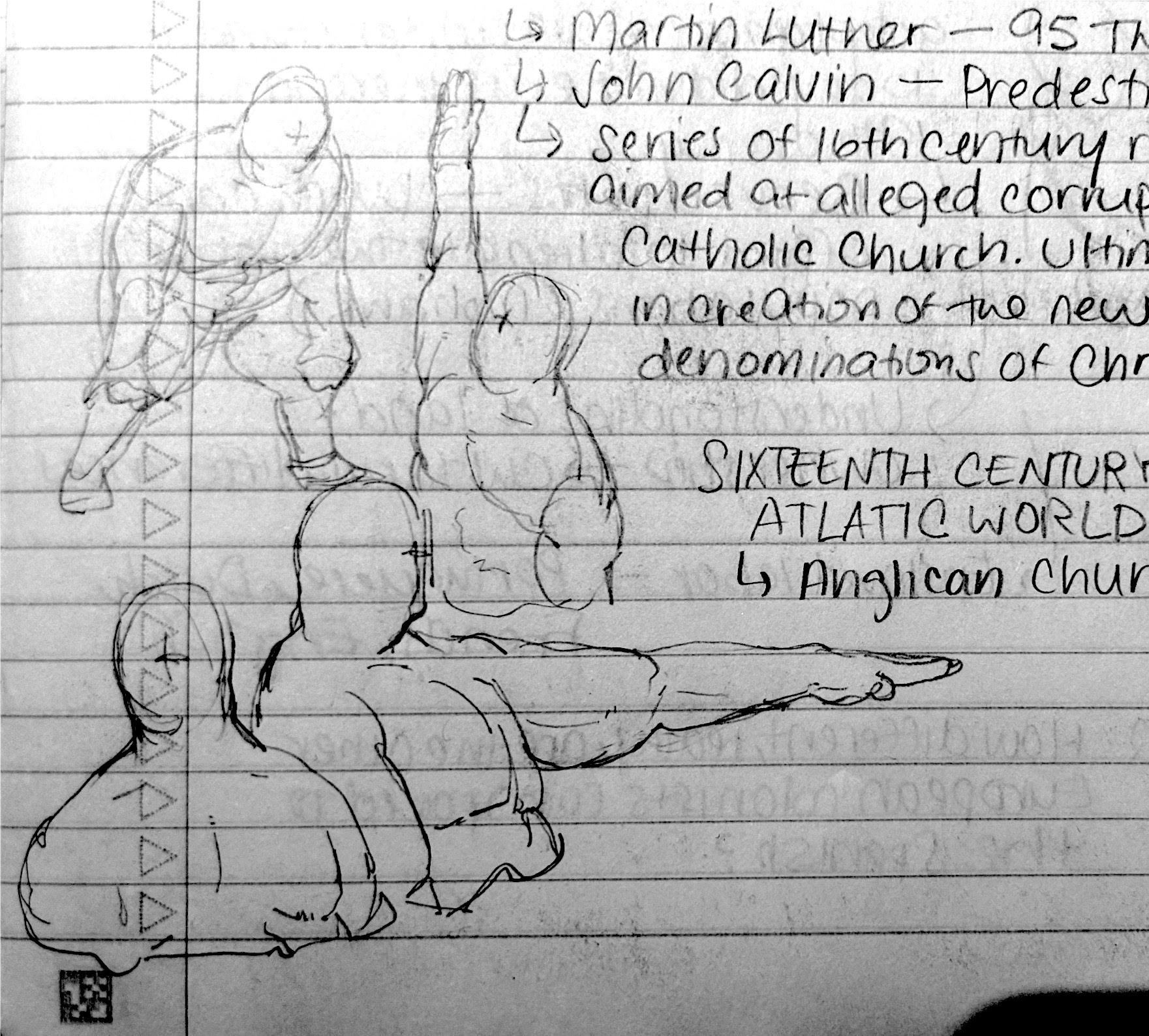 anatomy doodles in my notebook, again