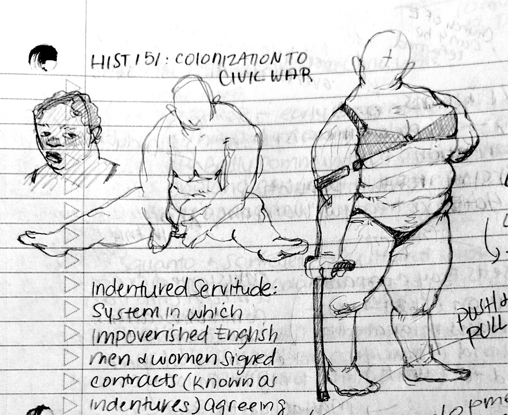 anatomy doodles in my notebook